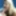 Blonde cutie Brianna sucks some cock