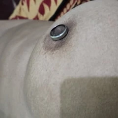 Black Nipples 