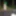 Strip in the woods #3