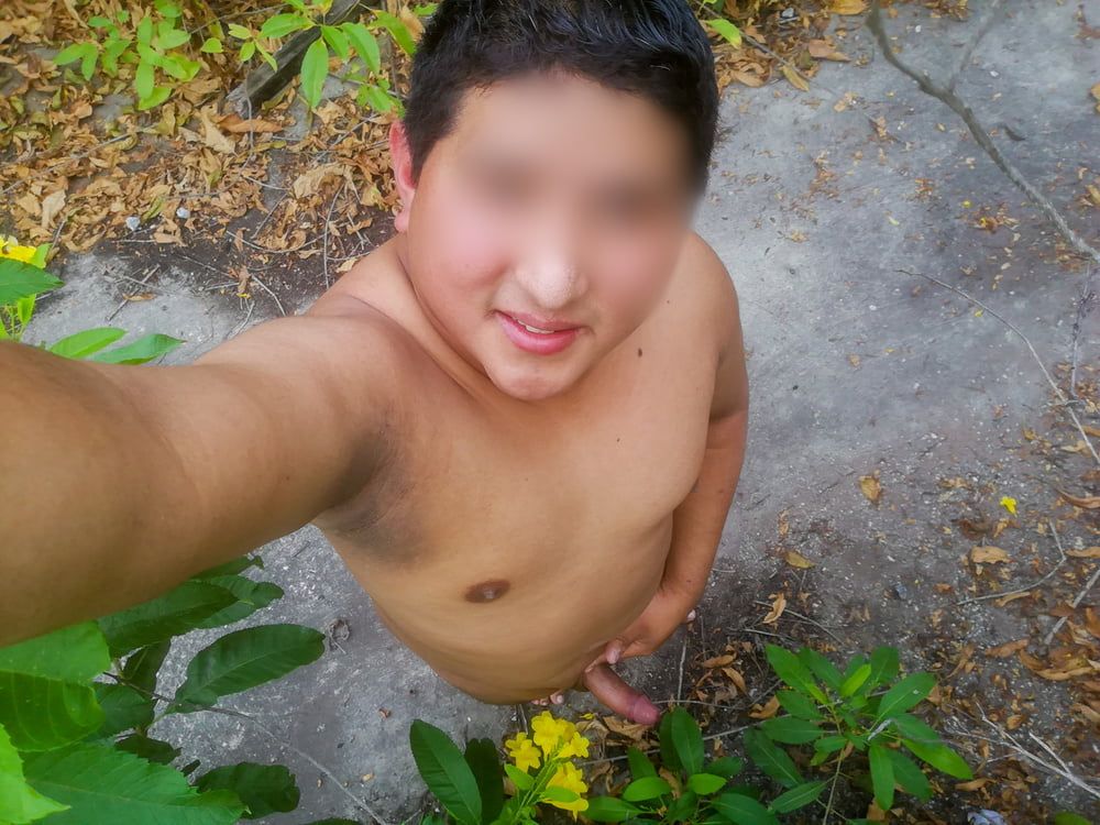 SelfiesNudes al Aire Libre (Excitado en la Calle) #15