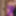 💜Violet Session Photo (17fev24) #2