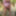 Sexy Crossdresser kellycd2022  cumshot compilation  #50