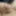 Micro cock pics