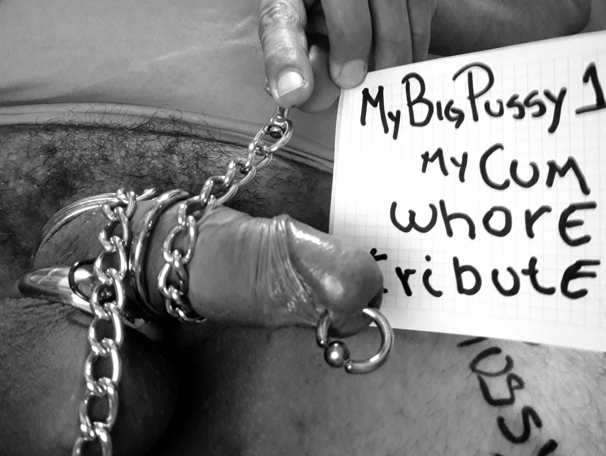 MyBigPussy1 Tribute Request #3