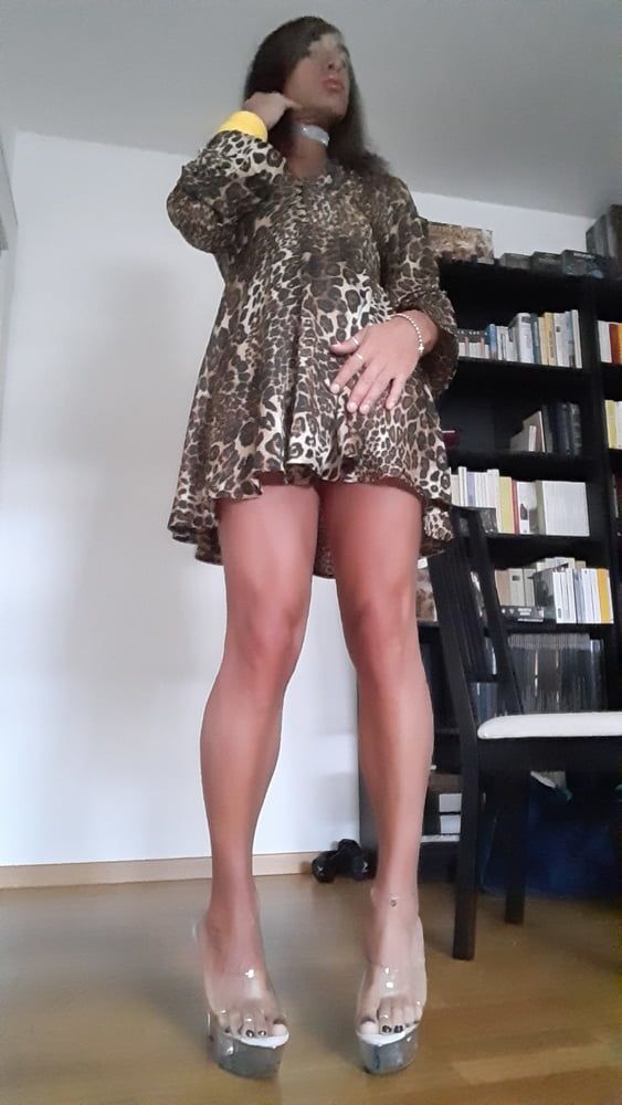 Sissy Tygra in leopard dress on 2019 octobre. #20