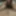 Horny Indian Guy with HOT Nude Selfies