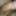 my dick 