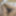 Myself nude for friends #5