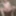 exhibitionist anal dildo fuck exhibitionist belly cumshot 