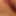 Kittens GIFs #59