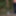 I tied my clothes in the forest #6