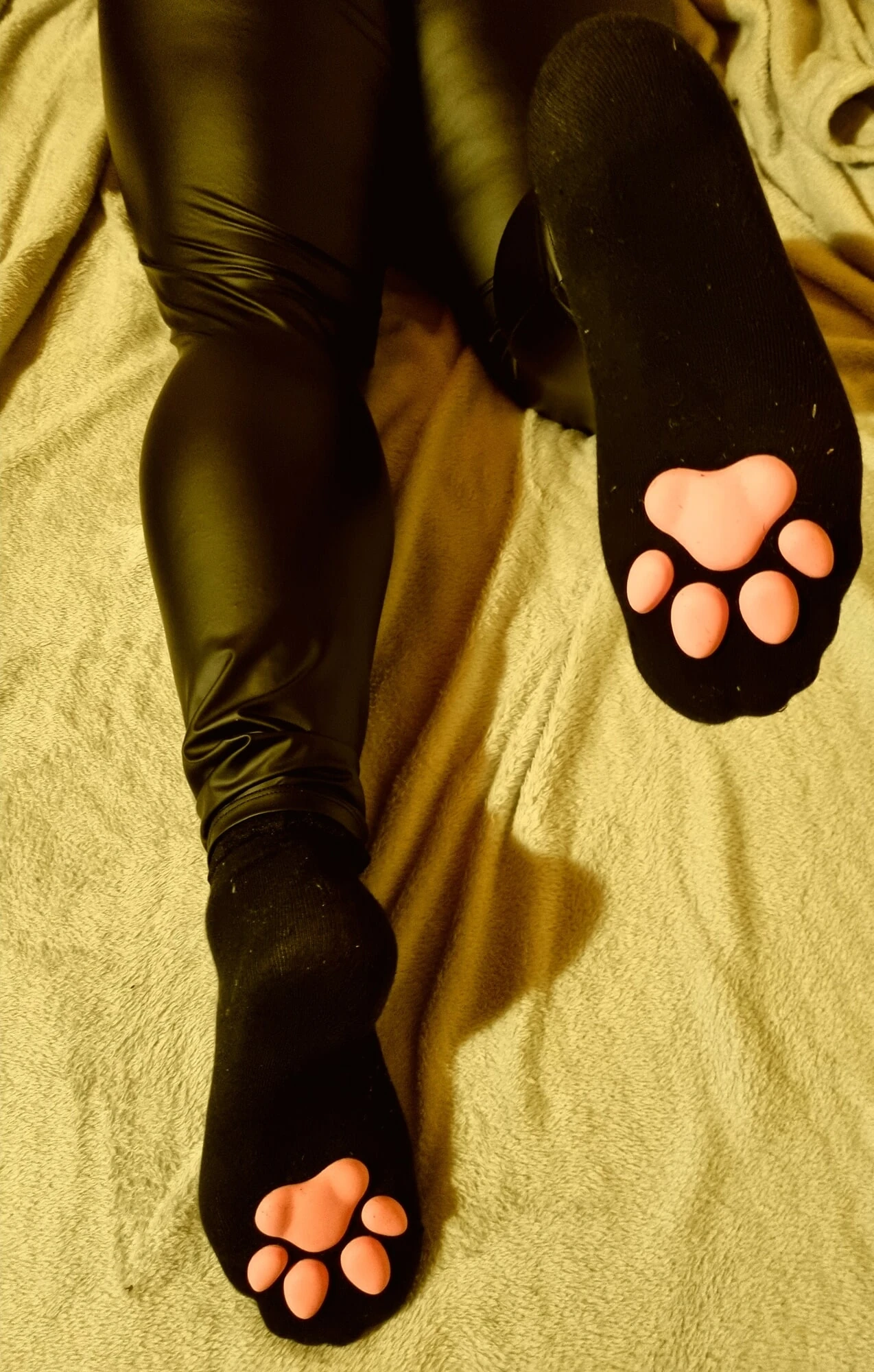 My sweet Paw socks #2