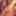 Ücretsiz vibroonvulva xxhoehopexx fotoğraflar