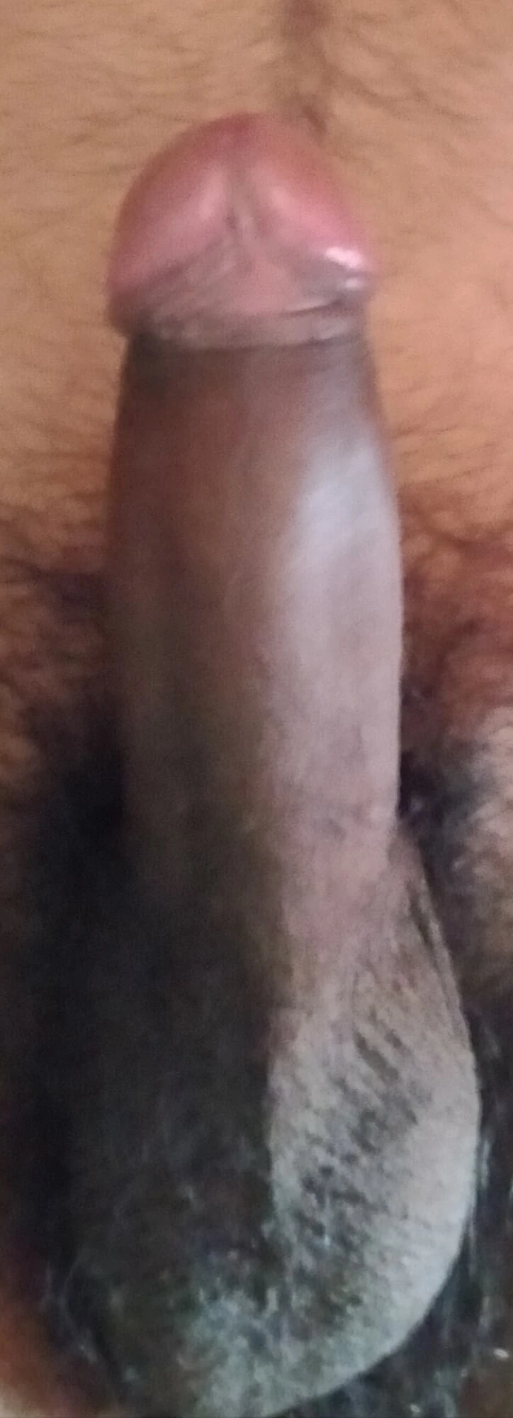 Dick #6
