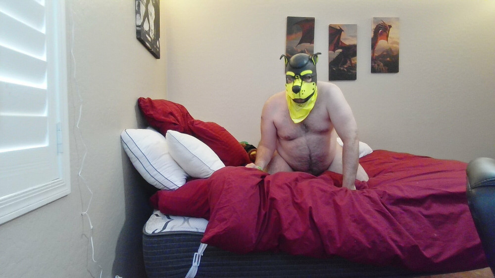 Chilling in my Puphood  #2