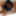 Lick Video Gallery