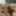 SEXUAL FANTASIES - SHARING DILDO AS A COUPLE BISEXUAL 2 #32
