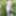 Katherine Laveau Free Photos