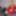 NEWS 2019 #25