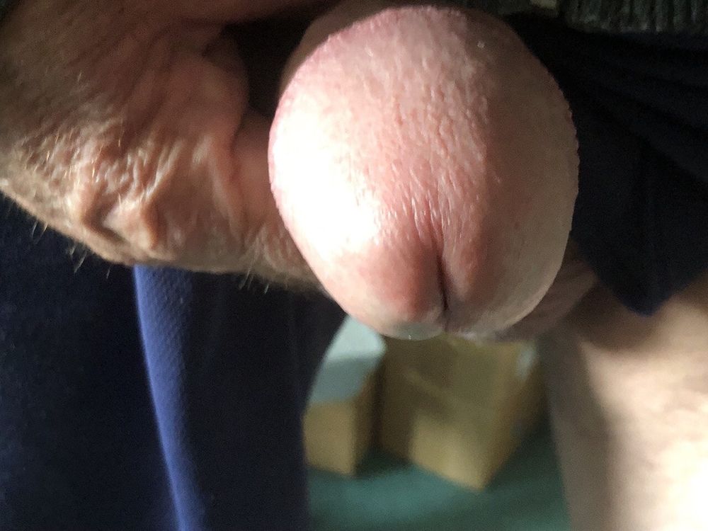 MY STIFF COCK  #16