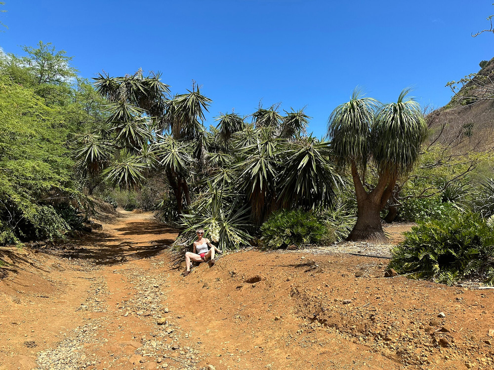 Photos from Hawaii  #58