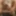 GIFs for Pro-Am scenes 196-200