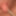 Daily report of the slave  #15