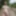 Naked Russian nudist in nature