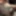 Mature MILF Stepmom GIF