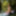 Arina Fox Free Photos