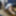 Sissy Ashley Jolene Ass Fucked with a Medium Black Dildo #46