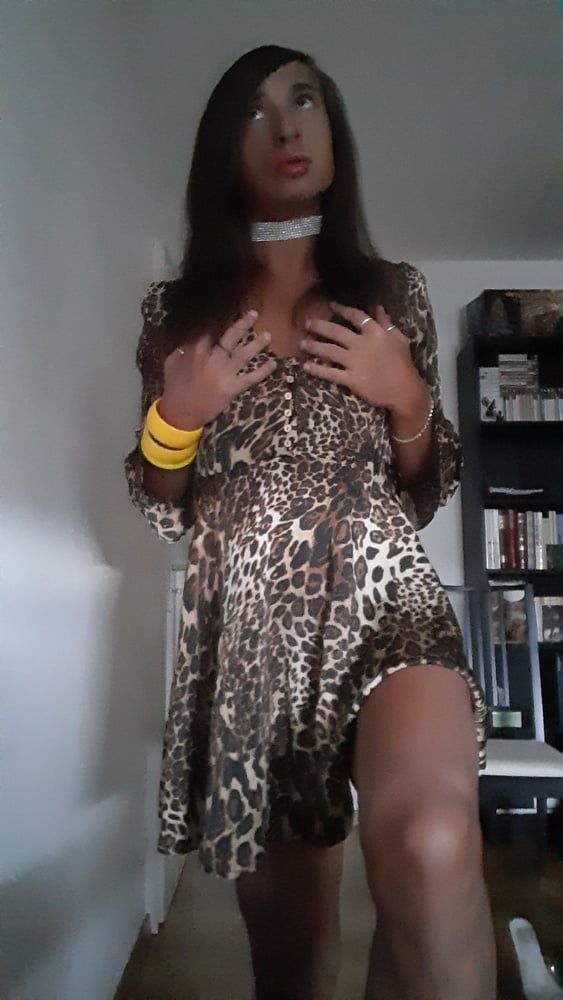 Sissy Tygra in leopard dress on 2019 octobre. #32