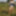 Green naked girl