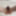 Hairy Bear shows of his fat meaty cock #3