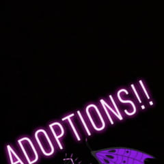 Up for Adoption! 