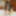 OnlyFans/Fansly Content Previews