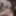 Out of control jockslut masturbator #4