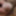 my penis up close