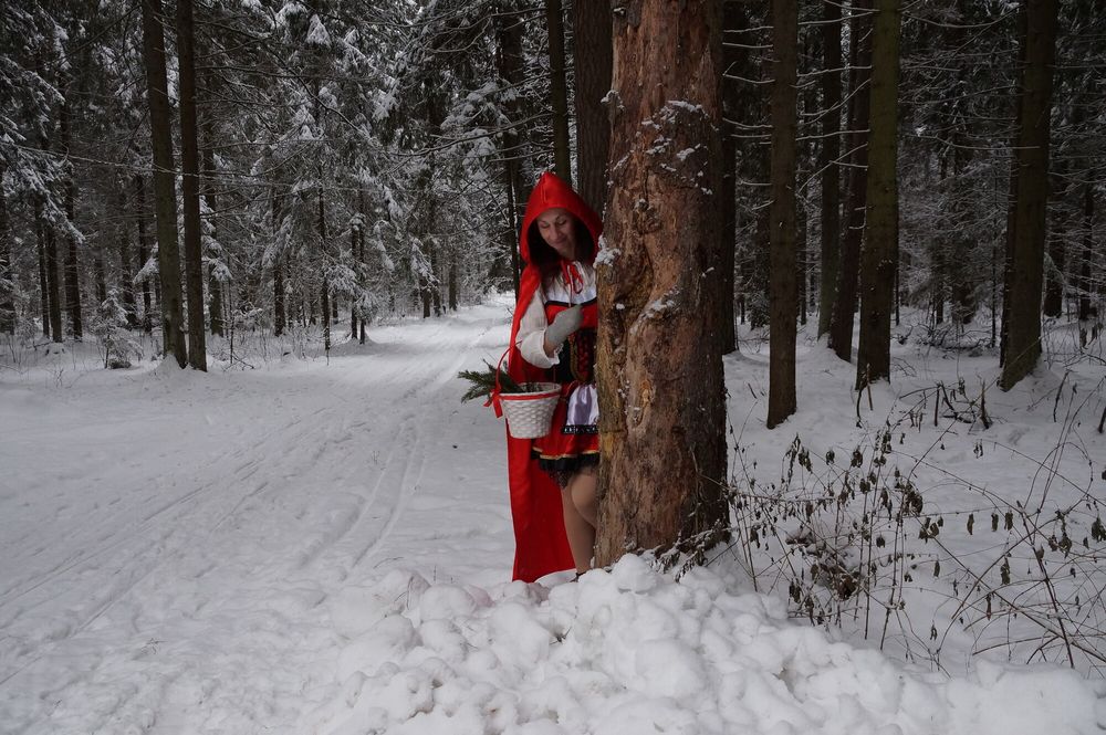 Little Red Riding Hood on a forest path #10