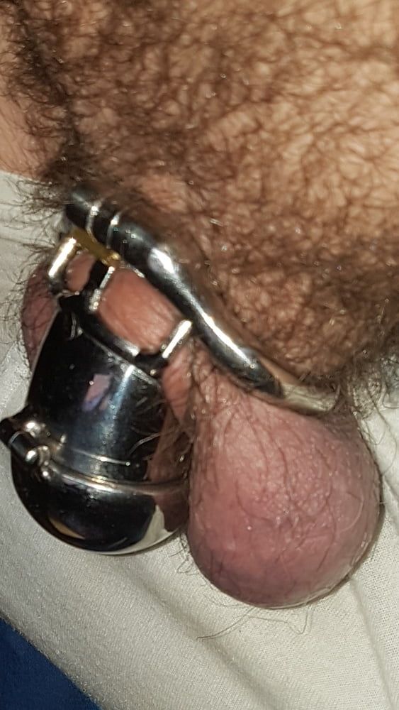 Chastity cage #44