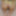 Fuck Toy Pics #24