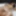 Petite coed Selena is getting fucked