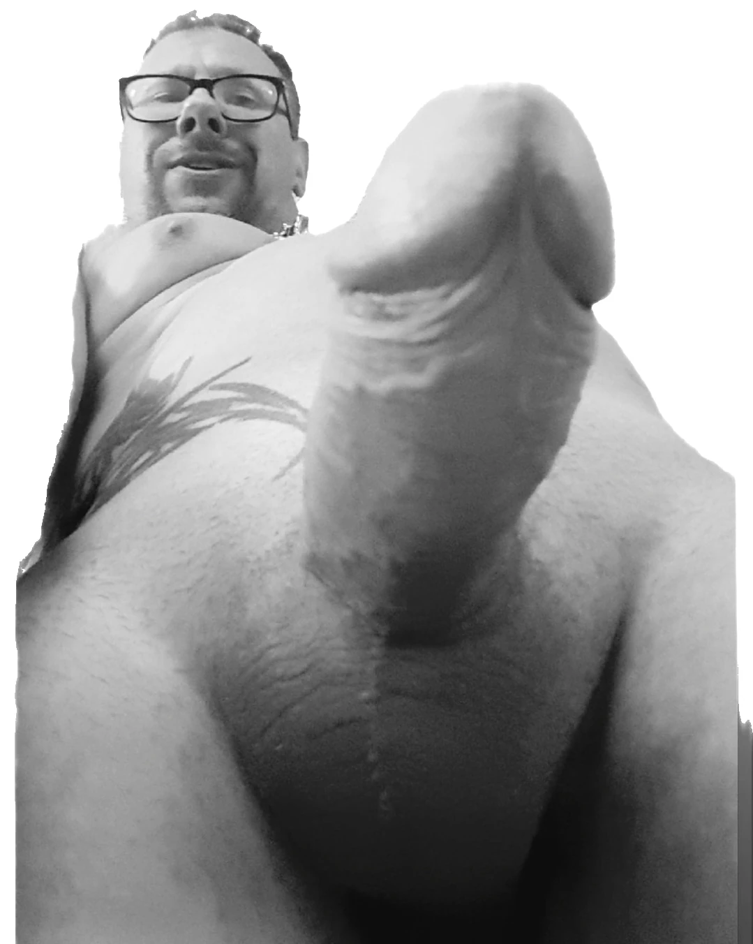 Schwanz