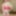 Ayase Tsuyuri :: Buon appettito young body - CARIBBEANCOM #3