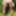 2021 Outdoor fun #7