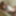 Yui Kisaragi :: Alternated BJ And Insert 2 - CARIBBEANCOM #15