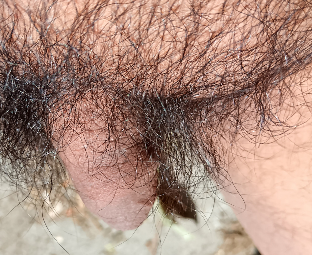 My nice flaccid penis after 9 months without shaving #21
