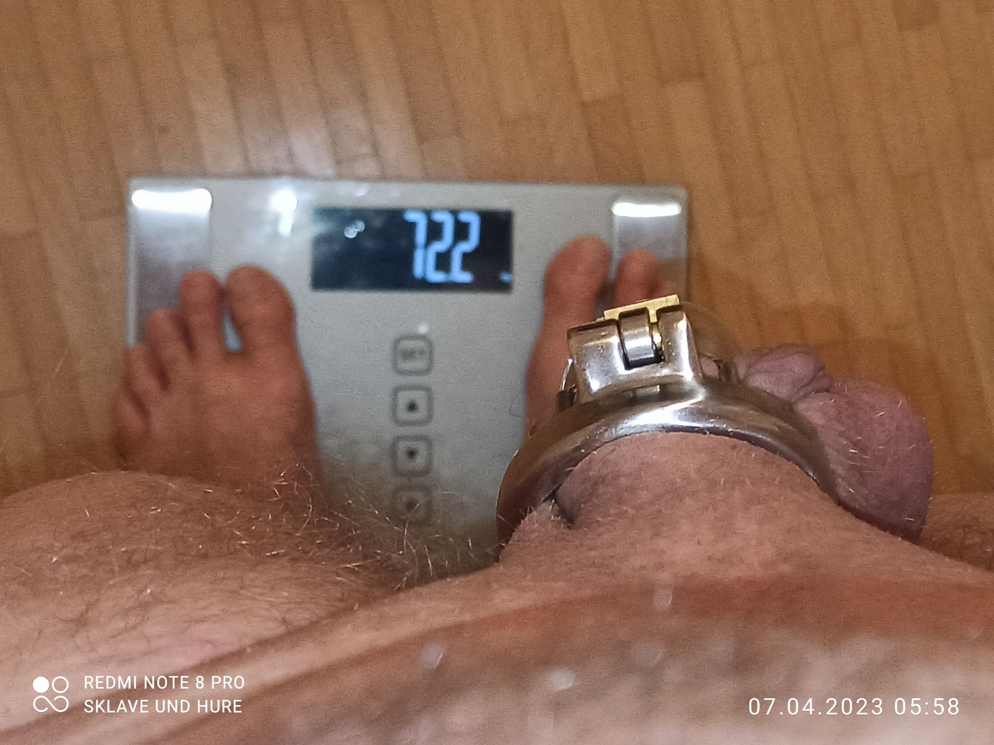 mandatory weighing and cagecheck of 7/4/23 #16