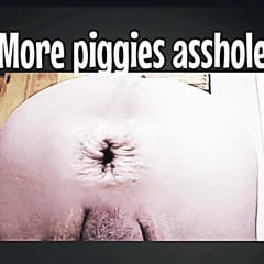 Piggy