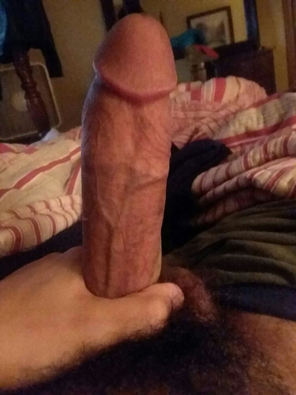 Cocks my followers sent me #47